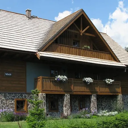 Nebeski Guest house 3*